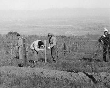 Historic winemaking at Martin Ray